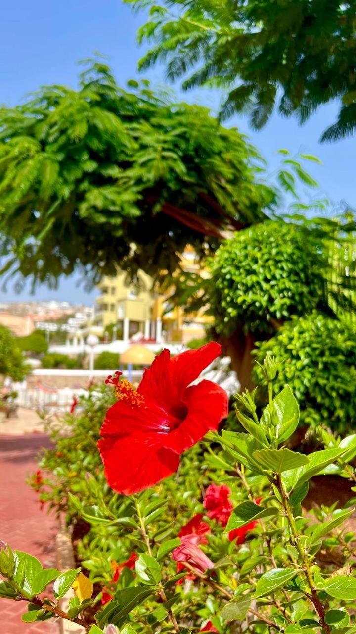 Cozy Two Bed Apartment. Costa Adeje  Exterior photo